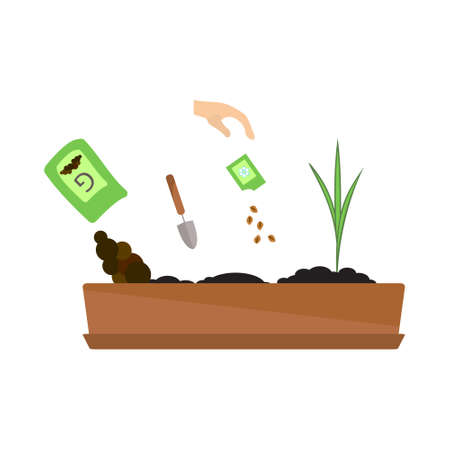 Line sprout and plant growing. Linear nature leaf, grow tree, garden and flower, organic gardening, eco flora. Timeline infographic of planting tree process, business concept flat design.のイラスト素材