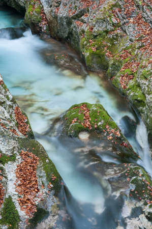 autumn river fallの写真素材