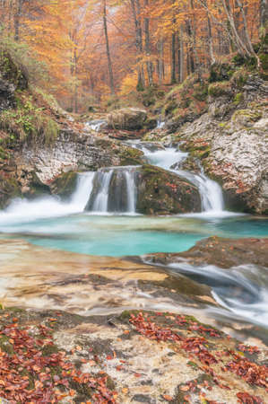 autumn riverの写真素材