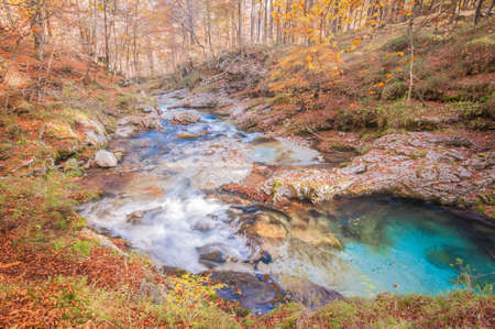 autumn riverの写真素材