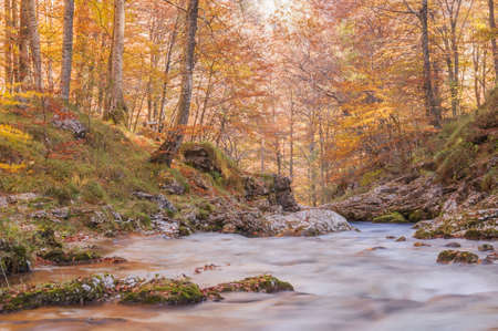 autumn riverの写真素材