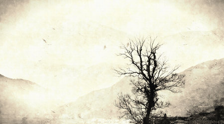 artistic conception ink landscapeの写真素材