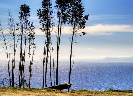 Landscape with lake and treesの写真素材