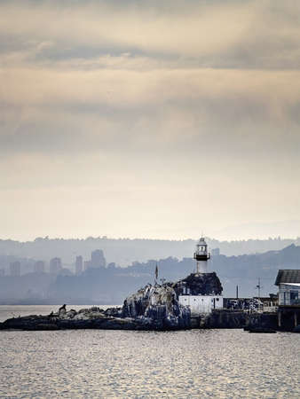 Lighthouse at seaside in a cloudy dayの写真素材