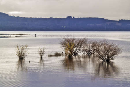 Chilean patagonian lake with bushes and mountains on backgroundの写真素材