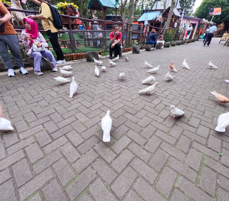 Photo of a mini electric car for rent at the kids arena attraction area, part of the Lembang Floating Market leisure park facilities. Bandung, 22 July 2025.のeditorial素材