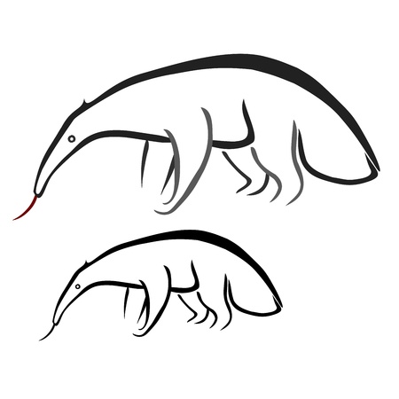 Ant-eaterのイラスト素材