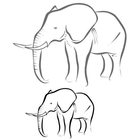 Elephantのイラスト素材
