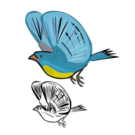 Flying Birdsのイラスト素材