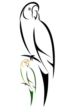 Parrotのイラスト素材