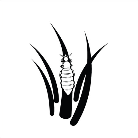 Louseのイラスト素材