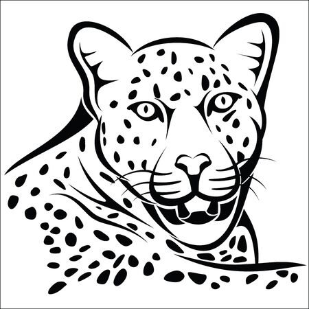 Leopardのイラスト素材