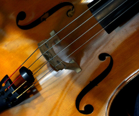 Cello Close Up