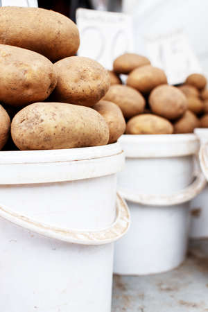 Row of white buckets stacked with earthy potatoesの写真素材