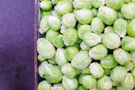 Crate of brussels sprouts covered in water drops on a purple の写真素材