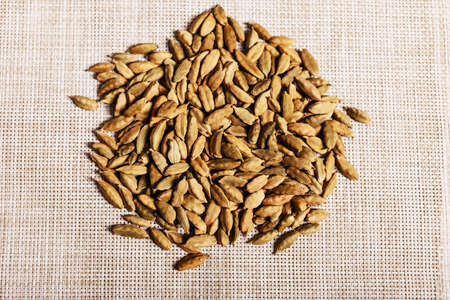 Seeds on a textured cloth isolated