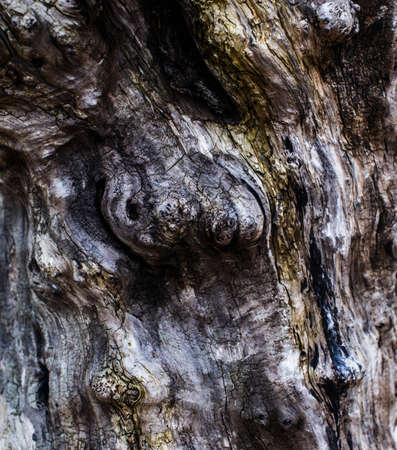 Shamanistan,somewhere in Africaの写真素材