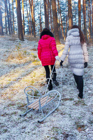 Walking in the winter  woods  with sledgeの写真素材