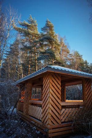 Wooden hut in the Forestの写真素材