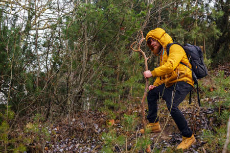 Smiling man with beard in a forest. Dressed in yellow jacket, black bants, yellow boots, with stick and backpack.の写真素材