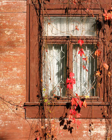 Old antique red wood window.の写真素材