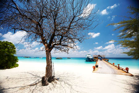 Image made by smartphone. Ocean, beach and blue skyの写真素材