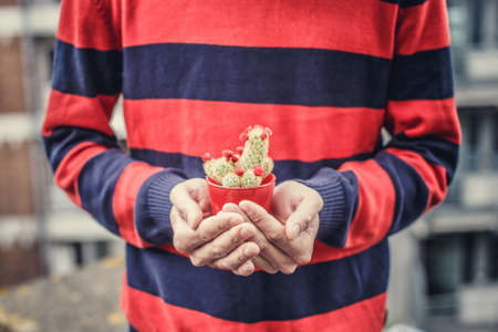 Man in stripes sweater holding small cactus.の写真素材
