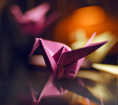 Bird's origami.の写真素材