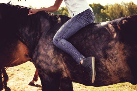 Female in jeans sitting on horse back.の写真素材