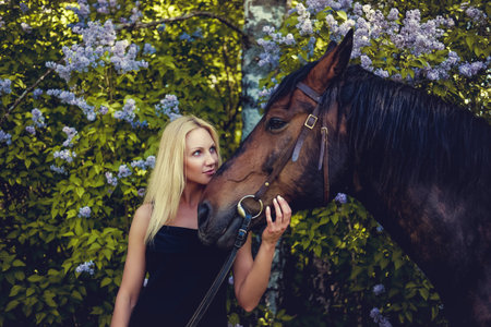 Blond female in black evening dress posing with brown horse.の写真素材