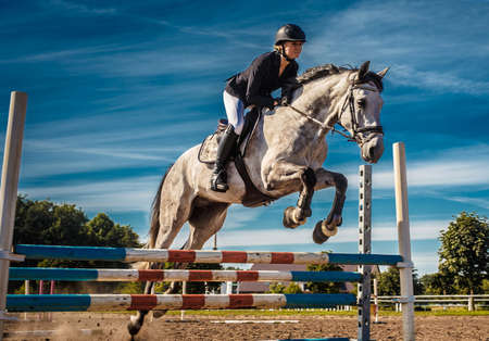 Horse rider in action under blue sky.の写真素材