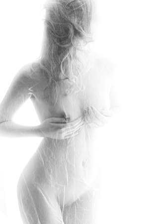 Black and white nude female silhouette on a white backround.の写真素材