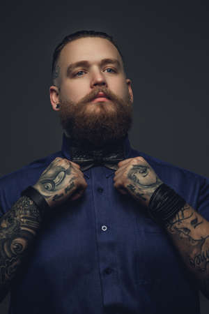 Portrait of bearded male in blue shirt and bow tie.の写真素材