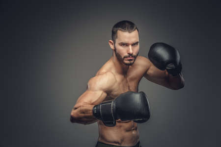 Studio portrait of shirtless male fighter in boxing gloves.の写真素材