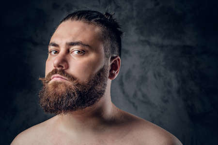 Close up portrait of shirtless beard male on grey background.の写真素材
