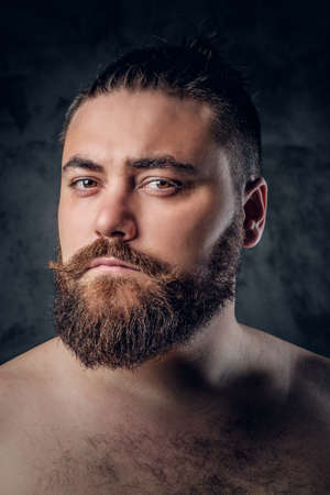 Close up portrait of shirtless beard male on grey background.