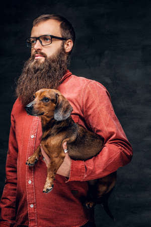 Portrait of bearded male in a red shirt holds a brown badger dog.の写真素材