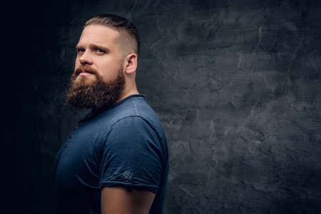 Studio portrait of brutal bearded male on grey vignette background.の写真素材