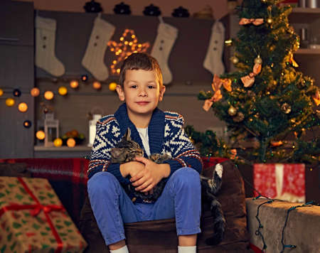 Cute little boy playing with a cat in a room with Christmas holiday decoration.の写真素材