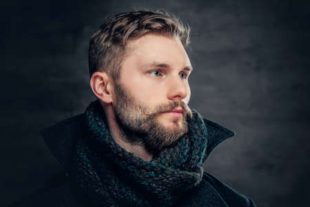 Handsome bearded male wearing a wool jacket and a scarf.の写真素材