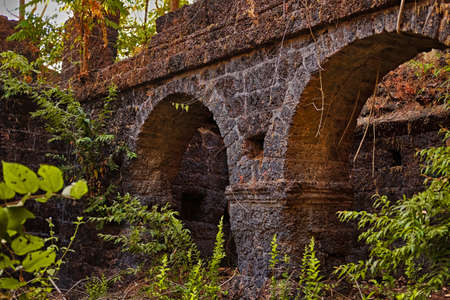 Old stone ruins in a jungle.の写真素材