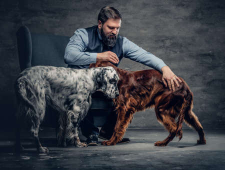 Portrait of stylish bearded male sits on a chair and his two Irish setter dogs.