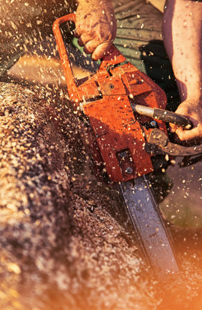 Close up professional chainsaw cuts firewoods.