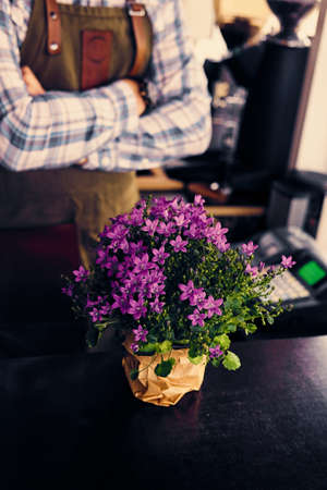 Decorative purple flowers in a pot.の写真素材