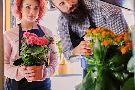 Redhead female holds a pot with roses and bearded tattooed male watering flowers in market shop.