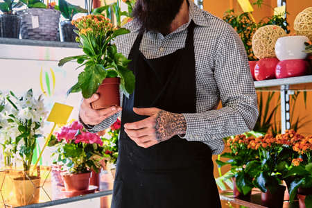 The bearded male flower seller holds flowers in a pot in a garden market shop.の写真素材