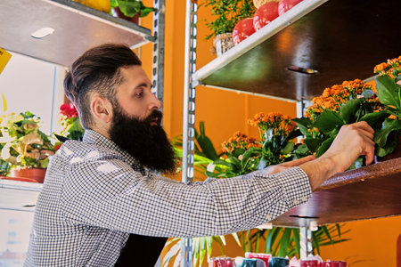 Bearded tattooed male works in a flower market shop.