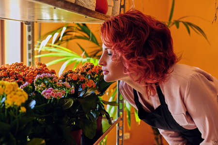 Redhead female looking at flowers in a pot in a market shop.の写真素材