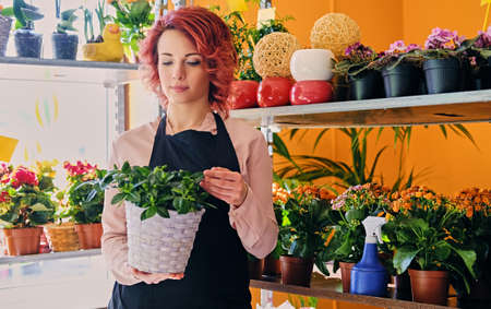 Redhead female holds flower in a pod in a market shop.の写真素材