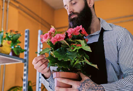The bearded stylish flower seller holds pink roses in a market shop.の写真素材